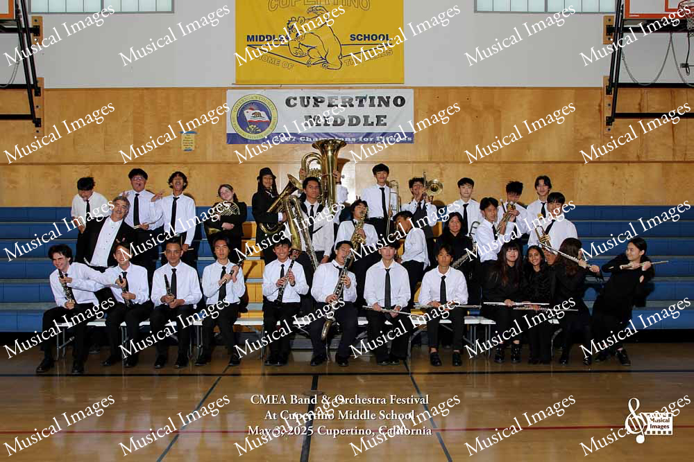 Musical Images